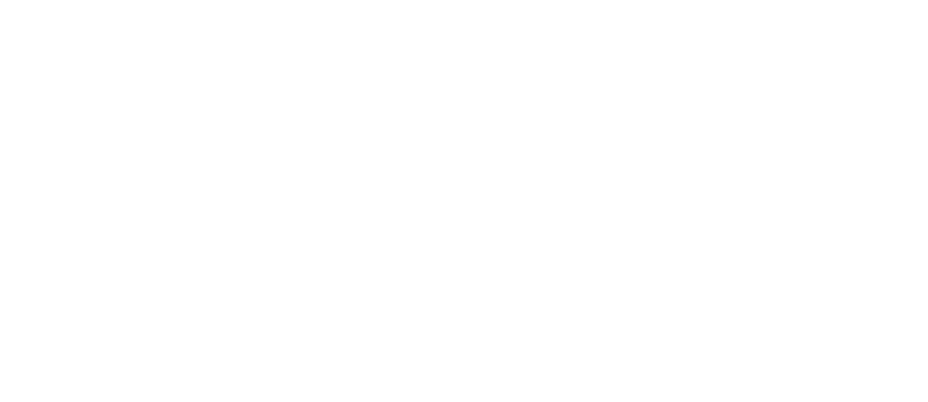 Royal Palm Transfers mark